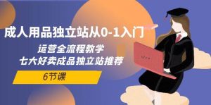成人用品独立站从0-1入门,运营全流程教学,七大好卖成品独立站推荐-6节课-逍遥游