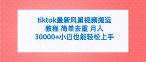 tiktok最新风景视频搬运教程 简单去重 月入30000+附全套工具-逍遥游