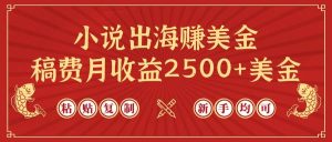 小说出海赚美金，稿费月收益2500+美金，仅需chatgpt粘贴复制，新手也能玩转-逍遥游