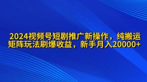 2024视频号短剧推广新操作 纯搬运+矩阵连爆打法刷爆流量分成 小白月入20000-逍遥游