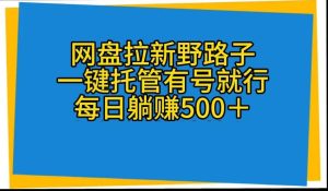 网盘拉新野路子,一键托管有号就行,全自动代发视频,每日躺赚500+-逍遥游
