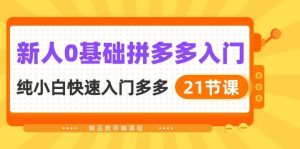 新人0基础拼多多入门，纯小白快速入门多多（21节课）-逍遥游