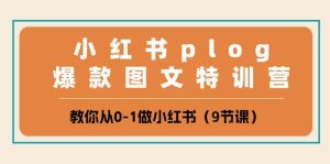 小红书 plog爆款图文特训营，教你从0-1做小红书（9节课）-逍遥游