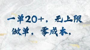 一单20+，无上限做单，零成本，执行就有收入-逍遥游