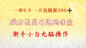 快手磁力聚星码信息差 售卖  一单卖9.9  一天也轻松300+ 新手小白无脑操作-逍遥游