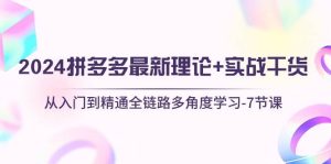 2024拼多多 最新理论+实战干货，从入门到精通全链路多角度学习-7节课-逍遥游