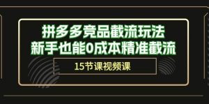 拼多多竞品截流玩法，新手也能0成本精准截流（15节课）-逍遥游
