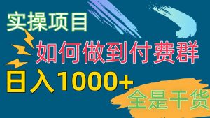 [实操项目]付费群赛道，日入1000+-逍遥游