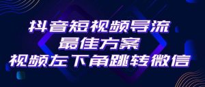 抖音短视频引流导流最佳方案，视频左下角跳转微信，外面500一单，利润200+-逍遥游