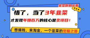 悟了，当了3年韭菜，才发现网赚圈年赚100万的核心是卖项目，含泪分享！-逍遥游