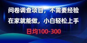 问卷调查项目，不需要经验，在家就能做，小白轻松上手，日均100-300-逍遥游