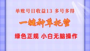 一键种草托管 单账号日收益13元  10个账号一天130  绿色稳定 可无限推广-逍遥游