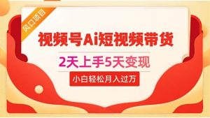 2天上手5天变现视频号Ai短视频带货0粉丝0基础小白轻松月入过万-逍遥游