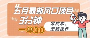 五月最新风口项目,3分钟一单30,零成本,无脑操作-逍遥游