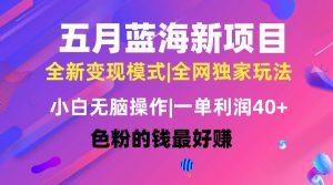 五月蓝海项目全新玩法，小白无脑操作，一天几分钟，矩阵操作，月入4万+-逍遥游