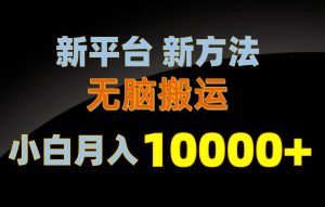 新平台新方法，无脑搬运，月赚10000+，小白轻松上手不动脑-逍遥游