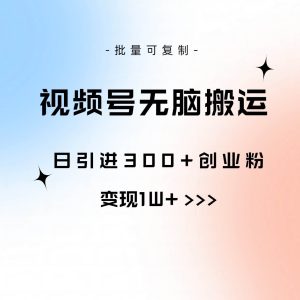 视频号无脑搬运日引300+创业粉,变现1W+可批量复制-逍遥游