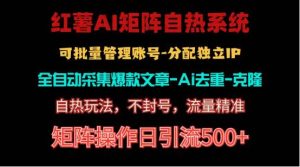 红薯矩阵自热系统，独家不死号引流玩法！矩阵操作日引流500+-逍遥游