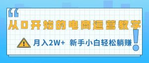 从0开始的电商运营教学,月入2W+,新手小白轻松躺赚-逍遥游