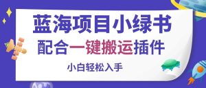 蓝海项目小绿书，配合一键搬运插件，小白轻松入手-逍遥游