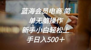 蓝海会员电商 简单无脑操作 新手小白轻松上手日入500+-逍遥游