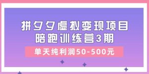 某收费培训《拼夕夕虚拟变现项目陪跑训练营3期》单天纯利润50-500元-逍遥游