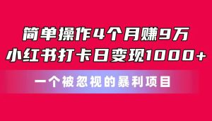简单操作4个月赚9万!小红书打卡日变现1000+!一个被忽视的暴力项目-逍遥游