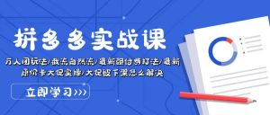 拼多多·实战课：万人团玩法/截流自然流/最新强付费打法/最新原价卡大促..-逍遥游