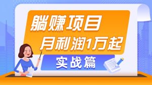 躺赚副业项目，月利润1万起，当天见收益，实战篇-逍遥游