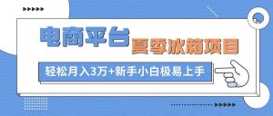 电商平台夏季冰箱项目,轻松月入3万+,新手小白极易上手-逍遥游
