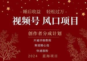 拥有睡眠收益的微信视频号大风口项目，轻松月入过万+，多赛道选择，可…-逍遥游