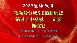 2024蓝海项目，视频号分成计划5.0最新玩法，错过了中视频，一定要抓住…-逍遥游