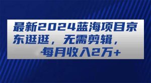 最新2024蓝海项目京东逛逛，无需剪辑，每月收入2万+-逍遥游