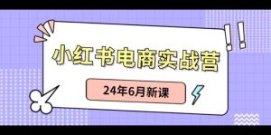 小红书电商实战营：小红书笔记带货和无人直播，24年6月新课-逍遥游