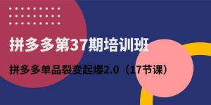 拼多多第37期培训班：拼多多单品裂变起爆2.0（17节课）-逍遥游