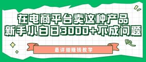 最新在电商平台发布这种产品，新手小白日入3000+不成问题，最详细赚钱教学-逍遥游