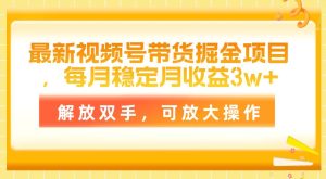 最新视频号带货掘金项目，每月稳定月收益3w+，解放双手，可放大操作-逍遥游