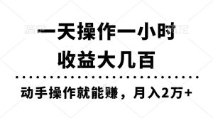 一天操作一小时，收益大几百，动手操作就能赚，月入2万+教学-逍遥游