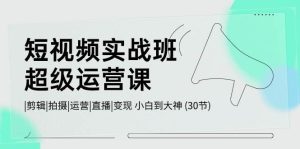 短视频实战班-超级运营课,|剪辑|拍摄|运营|直播|变现 小白到大神 (30节)-逍遥游