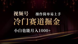 2024视频号三国冷门赛道掘金，操作简单轻松上手，小白也能月入1000+-逍遥游