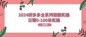 2024拼多多全系列课程实操,日销0-100单实操【16节课】-逍遥游