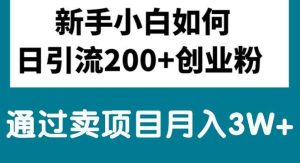 新手小白日引流200+创业粉,通过卖项目月入3W+-逍遥游