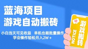 【蓝海项目】游戏自动搬砖 小白当天可见收益 单机也能批量操作 学会操…-逍遥游