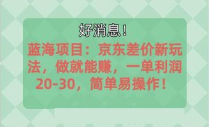 越早知道越能赚到钱的蓝海项目：京东大平台操作，一单利润20-30，简单…-逍遥游