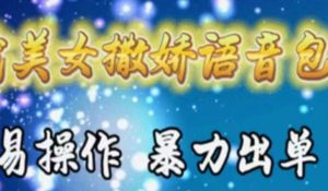 车载美女撒娇语音包,执行就出单,月入3000+,小白看完课程就能马上实操-逍遥游