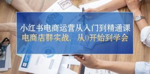 小红书电商运营从入门到精通课，电商店群实战，从0开始到学会-逍遥游