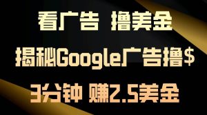 看广告，撸美金！3分钟赚2.5美金！日入200美金不是梦！揭秘Google广告…-逍遥游