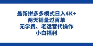 拼多多最新模式日入4K+两天销量过百单，无学费、老运营代操作、小白福利-逍遥游