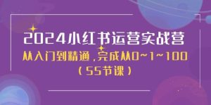2024小红书运营实战营，从入门到精通，完成从0~1~100（50节课）-逍遥游