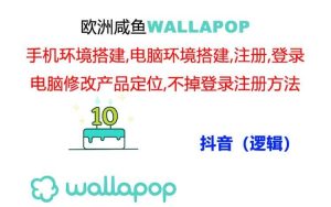 wallapop整套详细闭环流程：最稳定封号率低的一个操作账号的办法-逍遥游